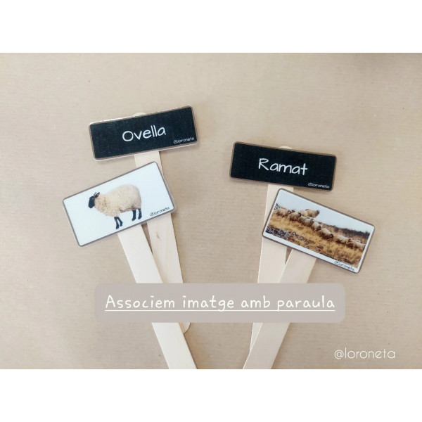 Tipus de substantius. Individuals i col·lectius.