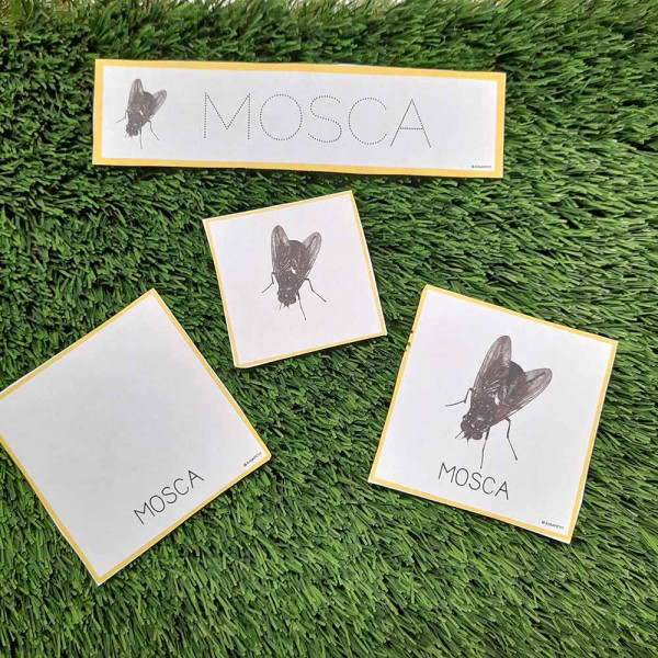 LECTOESCRIPTURA PRIMAVERA CASTELLANO