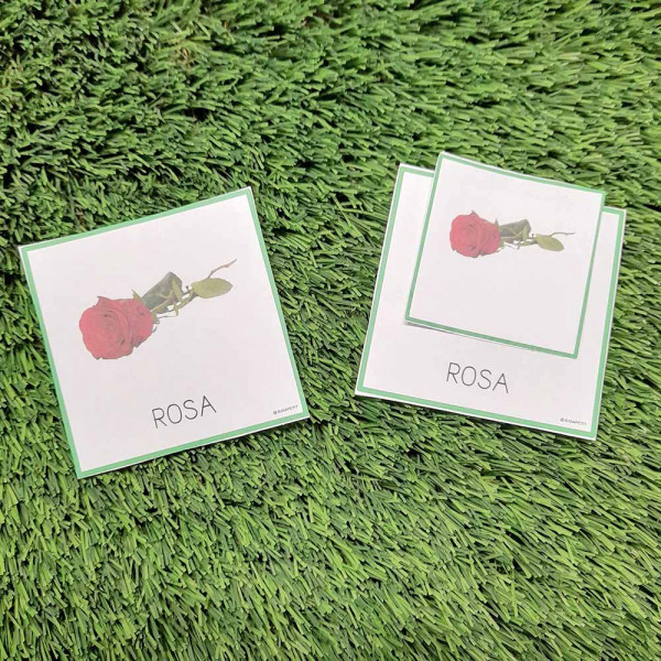 LECTOESCRIPTURA PRIMAVERA CATALÀ