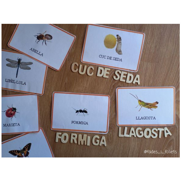 Targetes vocabulari PRIMAVERA