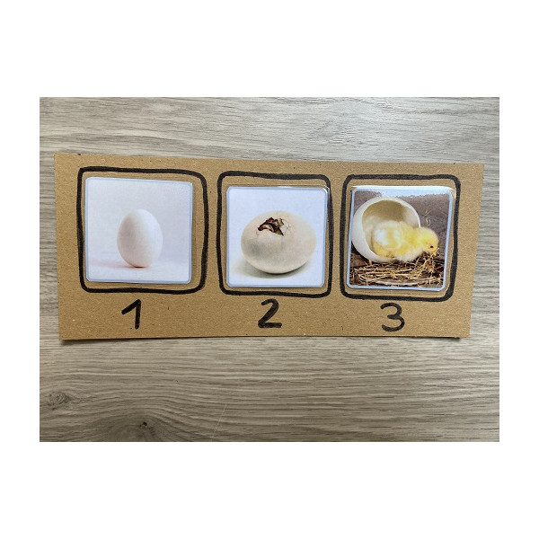 SECUENCIAS TEMPORALES