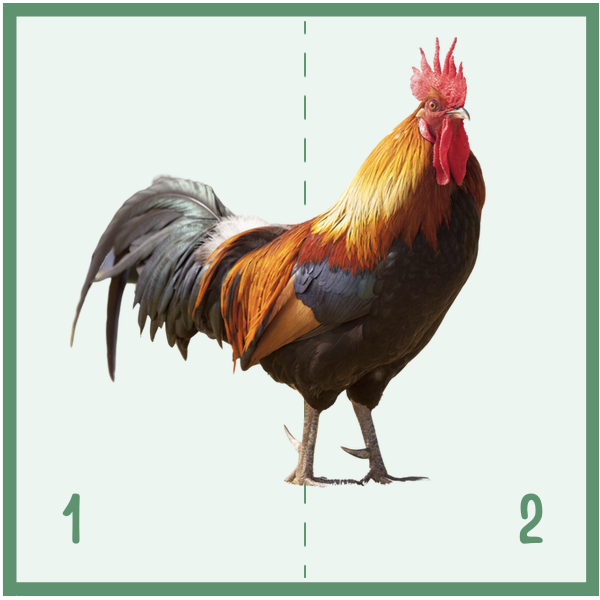 Vocabulari i puzles d'animals de granja