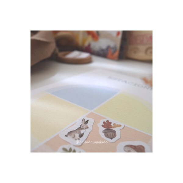 Projecte estacions de l'any