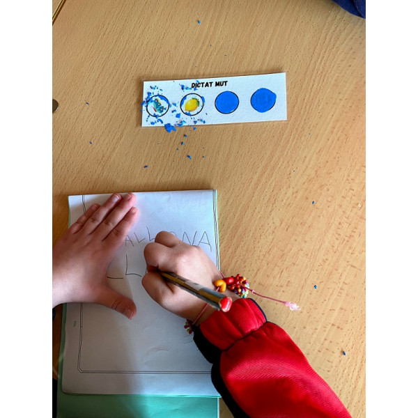 DICTAT MUT RASCA I GUANYA