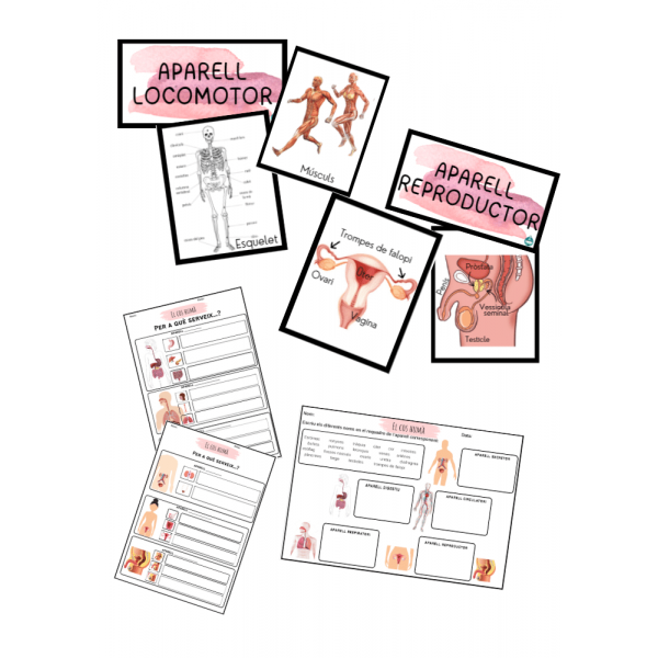 EL COS HUMÀ - APARELLS