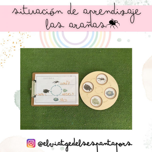 Microinvestigación las arañas