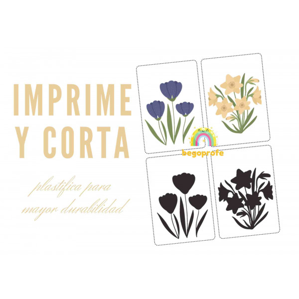 Juego de primavera: emparejar imágenes con su sombra - Spring shadow matching game