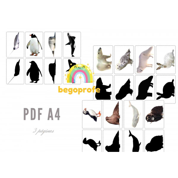 Emparejar animales polares con su sombra