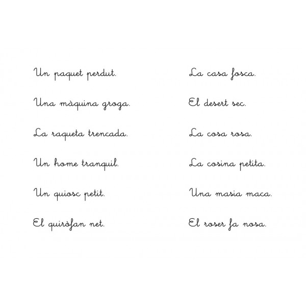 Aprenentatge progressiu de la lectoescriptura