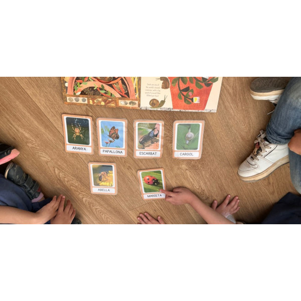 TARGETES VOCABULARI INSECTES