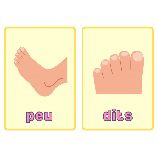 Parts del cos (Targetes)