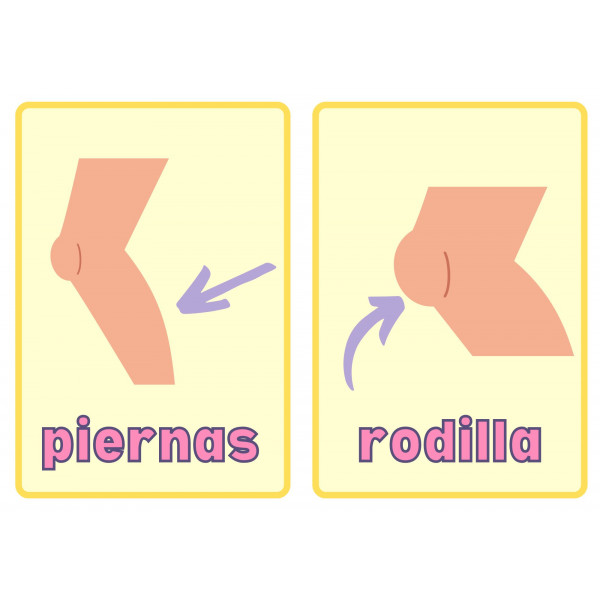 Partes del cuerpo (Tarjetas)