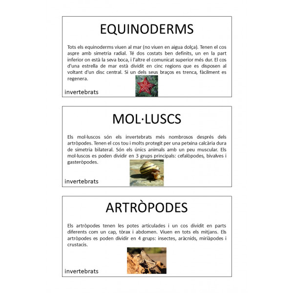 Invertebrados - Tarjetas