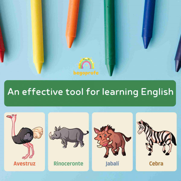 Animal flashcards, English language learning, vocabulary cards