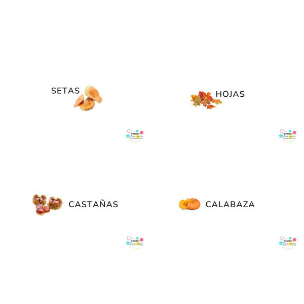 Bits OTOÑO (targetas)