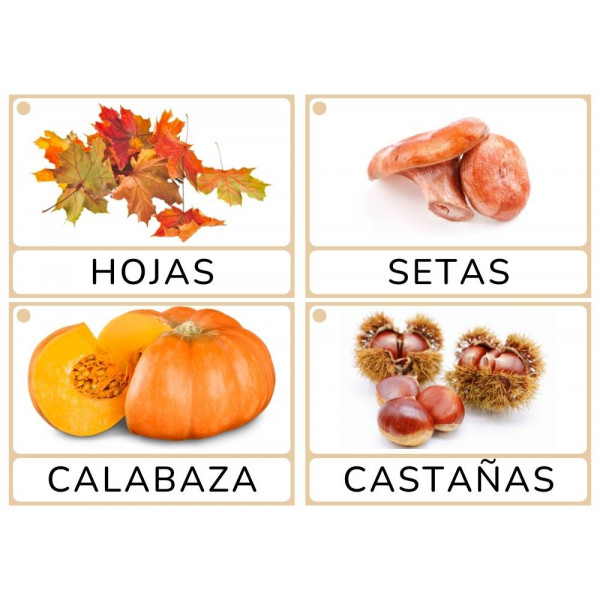 Bits OTOÑO (targetas)