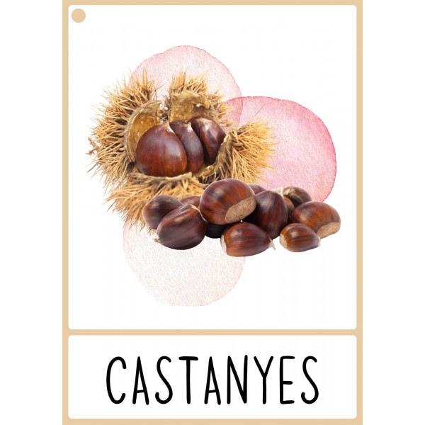 Targetes de vocabulari de TARDOR