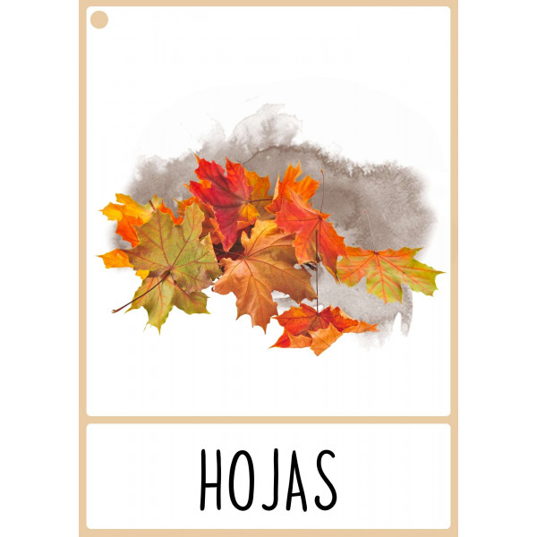 Targetas de vocabulario de OTOÑO