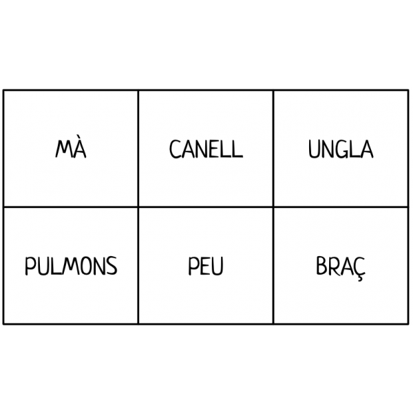 MEMORY LES PARTS DEL COS HUMÀ. 36 Targetes. Lletra majúscula i lletra minúscula.