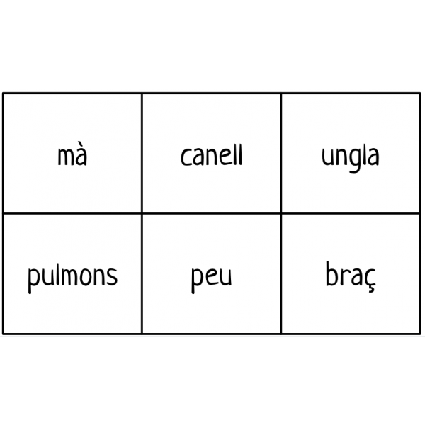 MEMORY LES PARTS DEL COS HUMÀ. 36 Targetes. Lletra majúscula i lletra minúscula.
