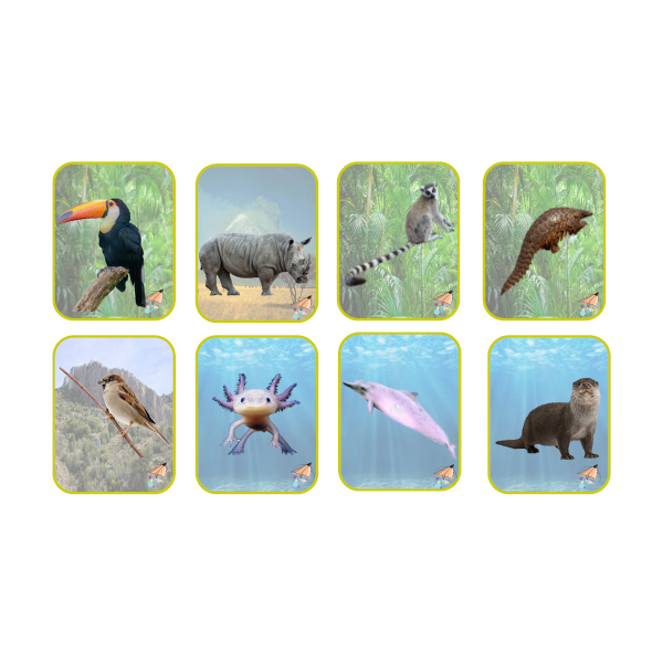 EN PELIGRO DE EXTINCIÓN