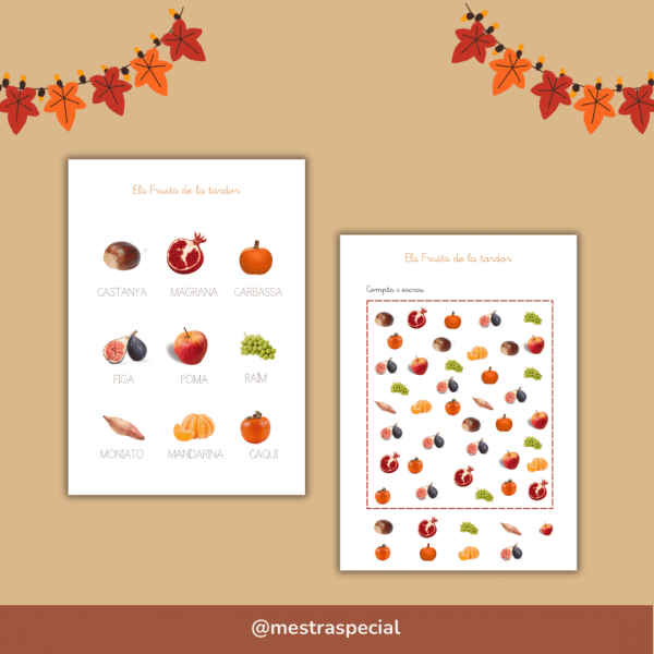 Mini dossier de la Tardor