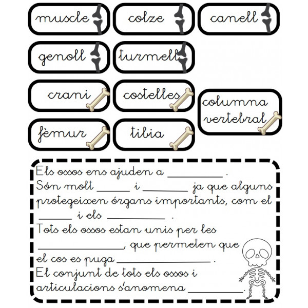 Lapbook El cuerpo humano