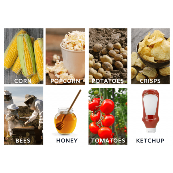 Food from the farm photos