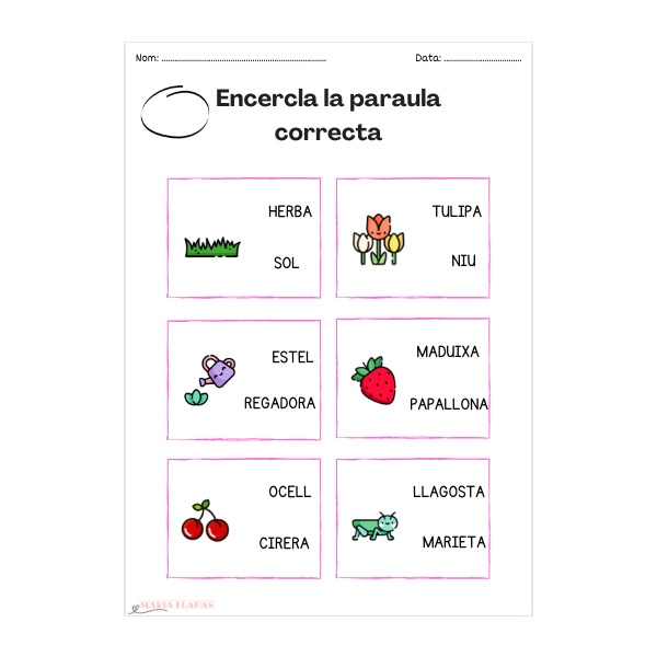 DOSSIER 21 FITXES LA PRIMAVERA. LECTURA I ESCRIPTURA. LLETRA DE PAL.