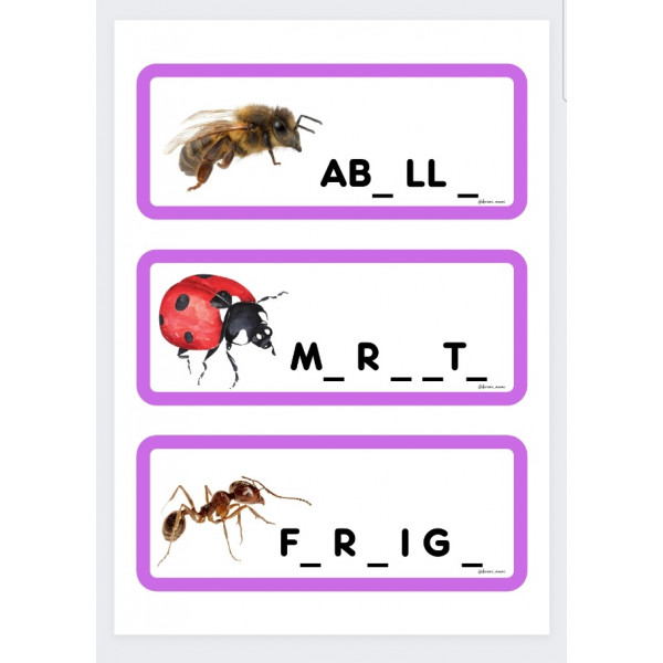 PRIMAVERA.QUINES LLETRES FALTEN?