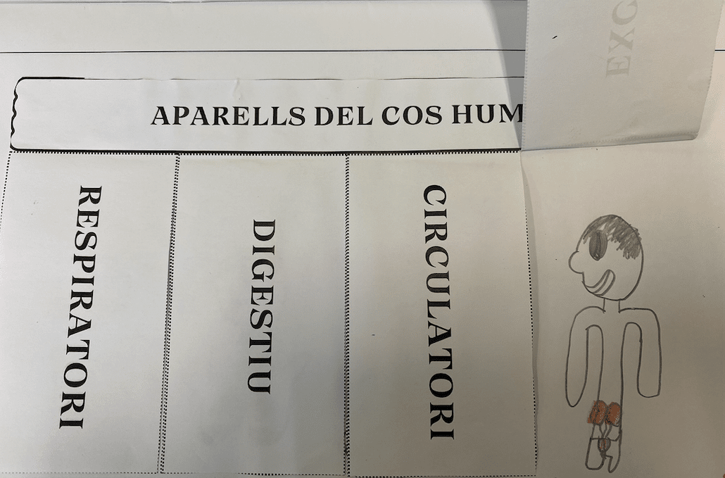 Profes Papel Tijera Flipbook Aparells Del Cos Hum