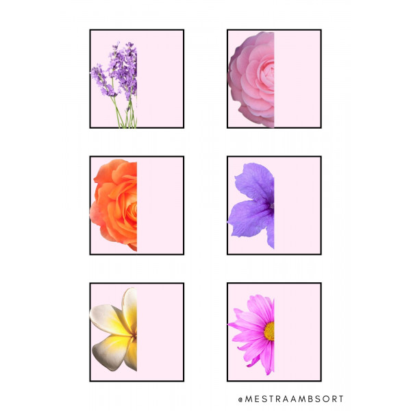 Dossier flors primavera