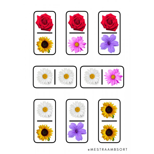 Dossier flores primavera