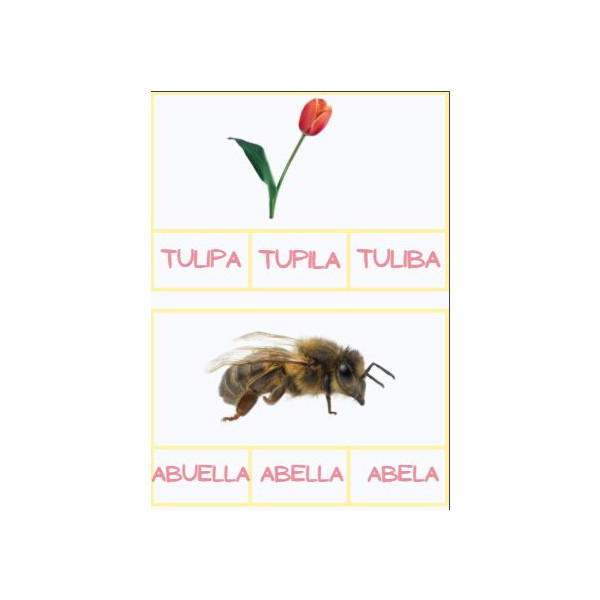 Lectoescriptura primavera