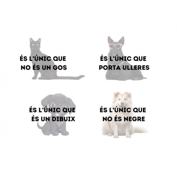 QUELI - WODB - BUSCA L'INTRÚS