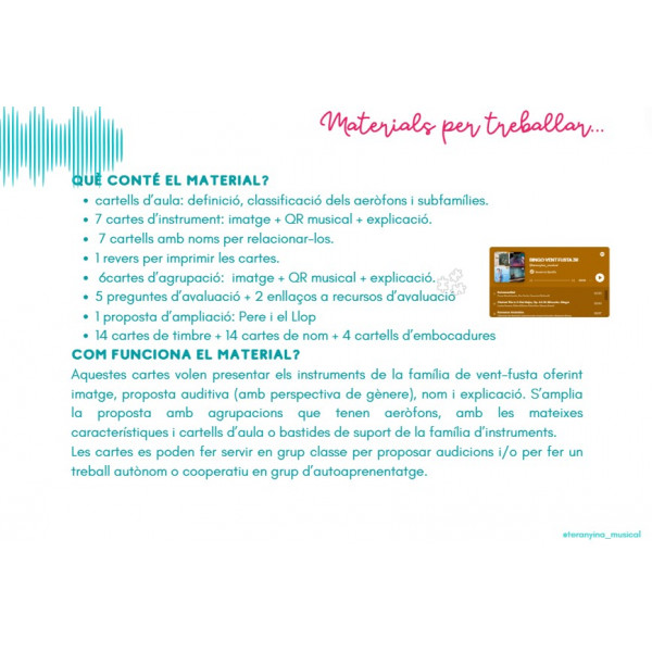 INSTRUMENTS DE VENT FUSTA: cartes i cartells per aprendre'n