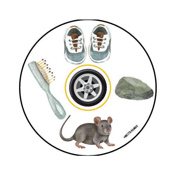 RODA CONSCIÈNCIA FONOLÒGICA