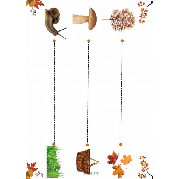 Dosier grafismo creativo otoño