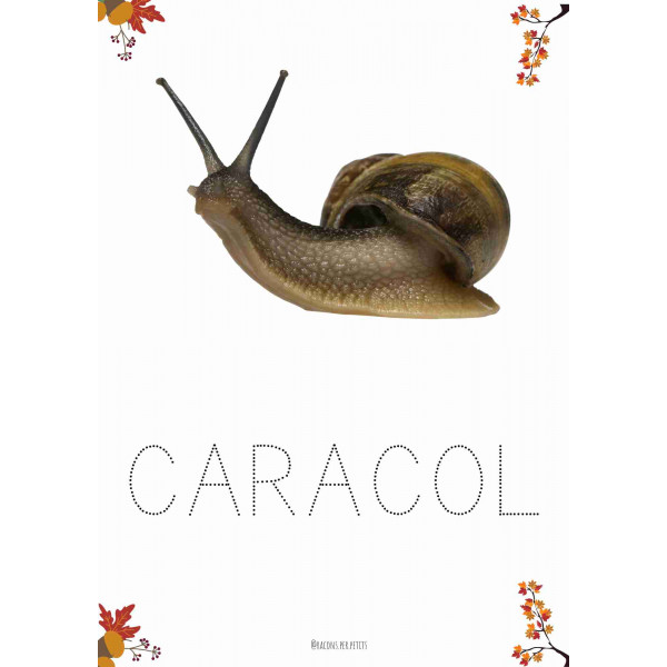 Dosier grafismo creativo otoño