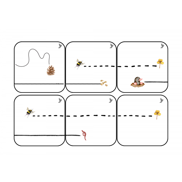 Camins de petjades i rastres