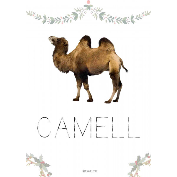 Dossier grafisme creatiu Nadal