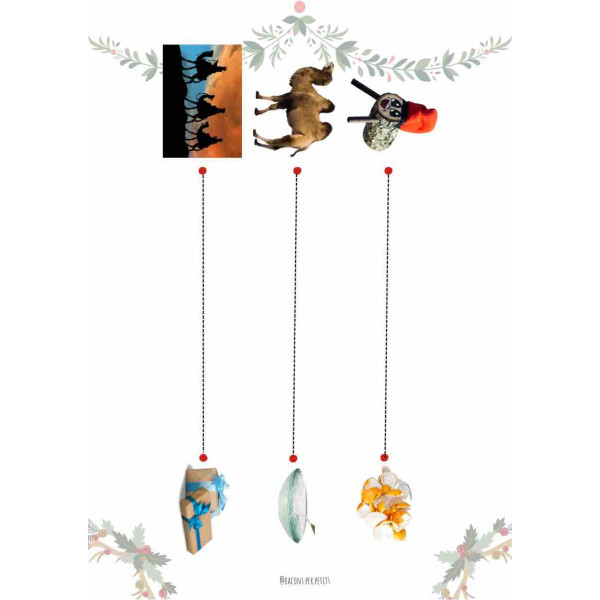 Dosier grafismo Navidad