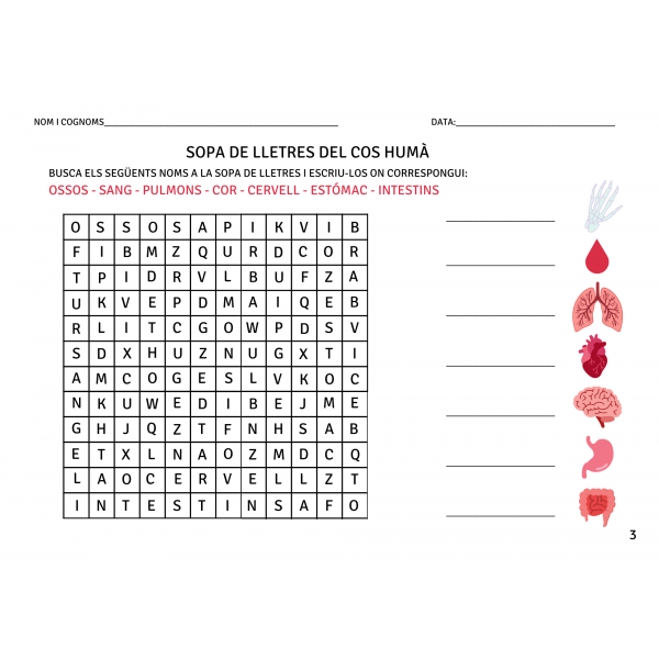 DOSSIER DEL COS HUMÀ