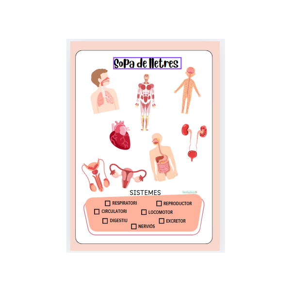 Sopa de lletres dels 7 sistemes