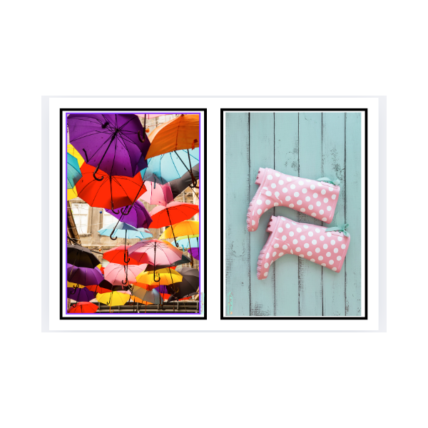 Imatges diverses d'elements de la tardor -part 2-