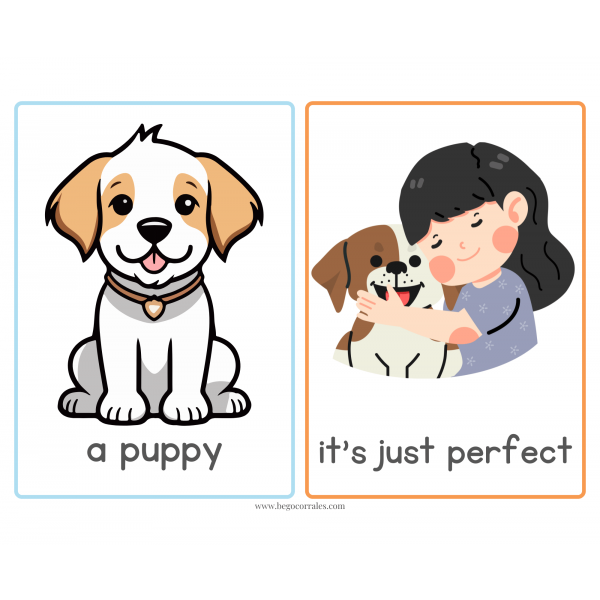 Dear zoo memory game and flashcards