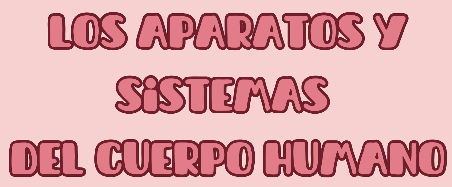 Aparatos y sistemas del cuerpo humano