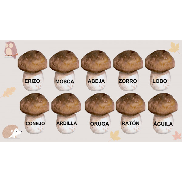 Femenino o masculino