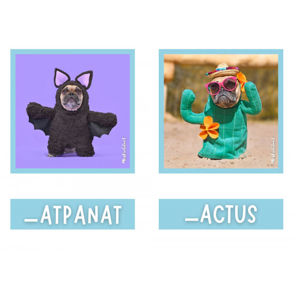 Pack Vocabulari Carnaval