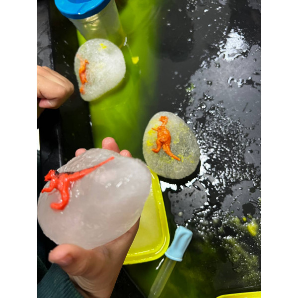 PROJECTE DINOSAURES